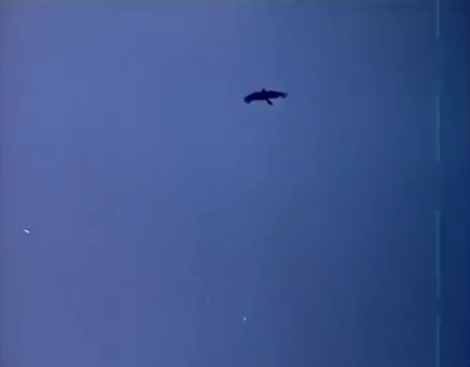 Bu koku nereden geliyor?